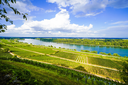 The most beautiful wine view in Rheinhessen 2012 is near Nierstein. A scenic spot with views of the Rhine and the vineyards near Nierstein.
