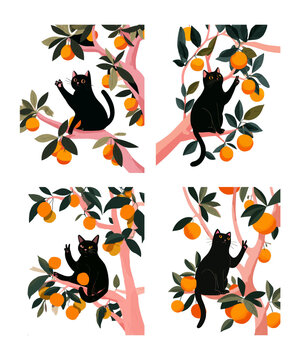 Black cat sitting tree cartoon vector set. Kitten orange citrus branches, pet animal grapefruit garden fruit leaves plant trunks small qute feline illustration isolated on white background