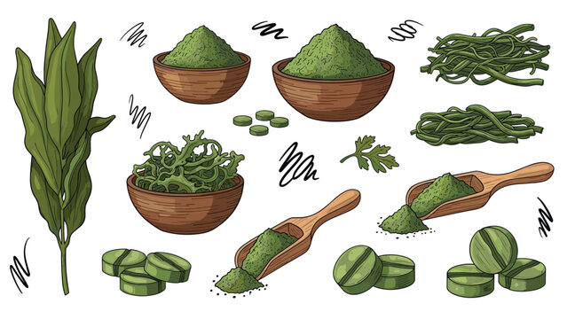 Comprehensive set of spirulina and chlorella superfood products including leaves, powder, tablets, and wooden measuring scoops.