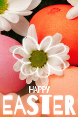 Fototapeta premium Colorful Easter eggs and flowers with a cheerful greeting for the holiday celebration