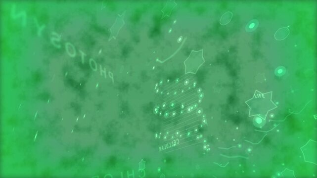 Green border appearing, helix forming, labels rotating, showing plant growth on transparent bg