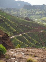 strada tra le verdi colline del canyon 
