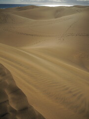 dune nel deserto e impronte con mare