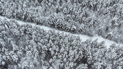 Heavy snowfall covers a dense forest seen from a drone