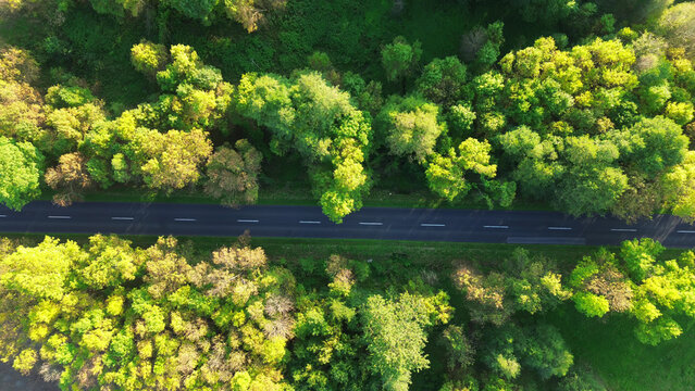 Beautiful nature landscape with road and driving car
