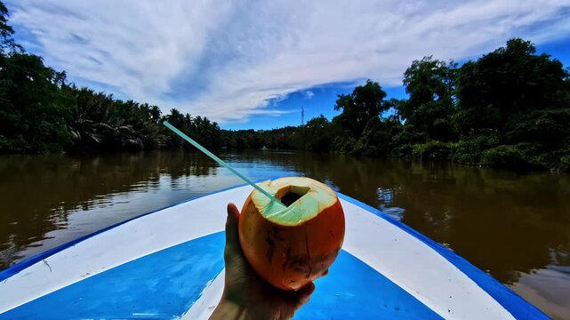 King coconut held on boat during Nilwala river crocodile safari trip