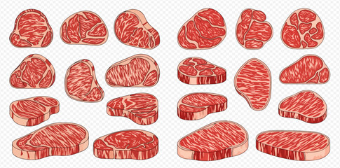 Set of various fresh raw beef steaks and cuts, showcasing different marbling and shapes for culinary use.