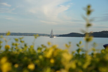 A serene sailboat gliding on the tranquil sea under a bright, clear sky © GS-Studio