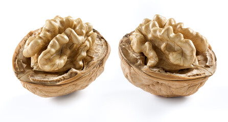 Walnut in closeup on white background