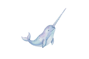 Watercolor Narwhal Illustration. © Hato