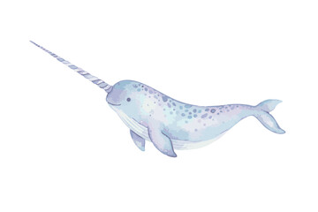 Watercolor Narwhal Illustration Isolated on White Background. © Hato