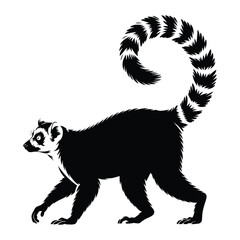 Ring-tailed lemur walking on all fours Vector, Silhouette, Illustration