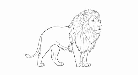 Obraz premium A majestic male lion drawn with bold, sketchy lines, standing confidently