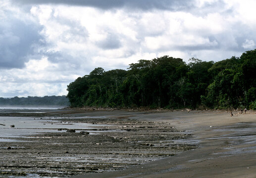 Playa Sirena, situated near the Sirena Ranger Station in Corcovado National Park in Costa Rica