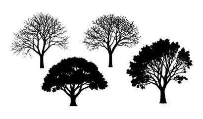Obraz premium Tree Growth and Seasonal Transition Silhouette Vector Collection Isolated on White Background