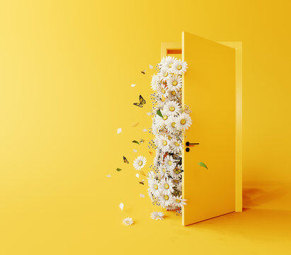 Spring is here. White spring flowers entering through the door on yellow background with copy space. 3D Rendering, 3D Illustration