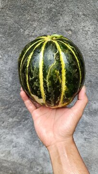 Hand holding a fresh blewah, cantaloupe, or Cucumis melo a type of melon in Indonesia. It has a firm, dark green skin with yellow or orange stripes