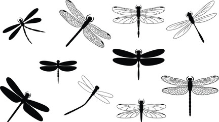 Dragonfly silhouette collection with various wing patterns, flying insect icons set isolated on white background, cad drawing flat vector illustration, nature elements. © EMON