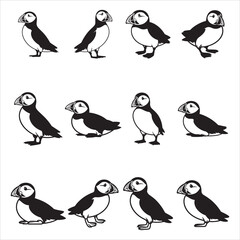 Fototapeta premium Puffin Bird Illustration Unique Black and White Vector Clip Art
