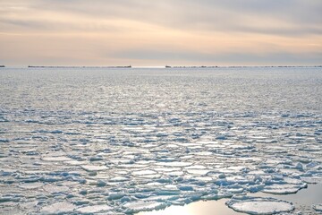 Pancake ice floes floating on sea surface at sunset. Beautiful winter arctic landscape with frozen water texture. Global warming and climate change concept. © Igor