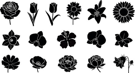Black silhouettes of various flowers including rose tulip sunflower orchid hibiscus bellflower and peony on white background © GT Designs