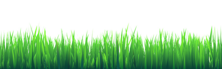 Fototapeta premium Meadow silhouette with green grass, plants on plain. Panoramic summer lawn landscape with herbs, various weeds. Herbal border, frame element. Black horizontal banners. Vector illustration