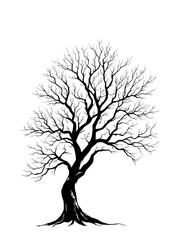 Obraz premium Detailed black tree silhouette with intricate branches. Elegant minimal line art illustration isolated on transparent background, perfect for logo or decorative design.
