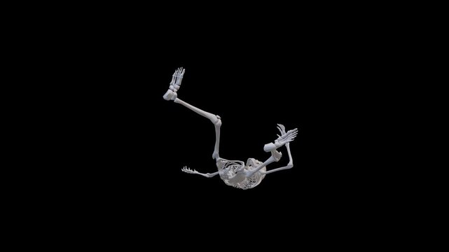 A dancing skeleton performing a dynamic movement on a black background, conveying a spooky and playful atmosphere, ideal for Halloween or educational content