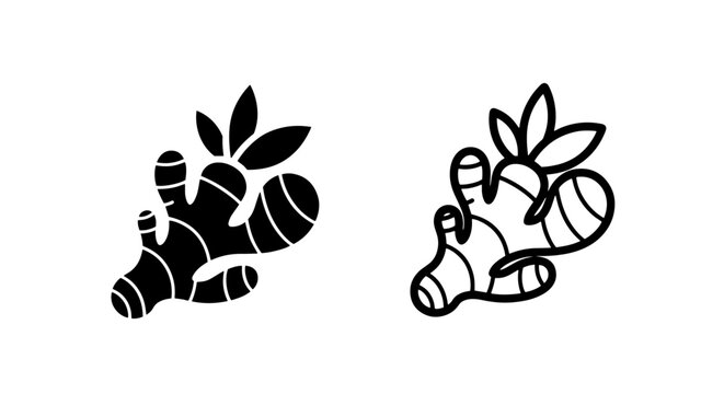 Ginger Root with Leaves Icon Set: Black Silhouette and Outline for Natural Health Graphics