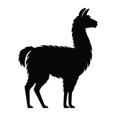 Fototapeta premium Llama standing tall side view Vector, Silhouette, Illustration