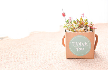ありがとうメッセージと多肉植物
