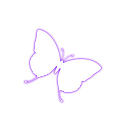 Butterfly Purple Neon