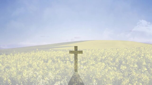 Sun showing faint center cross, cross darkening, shadow spreading over yellow field, forming cross
