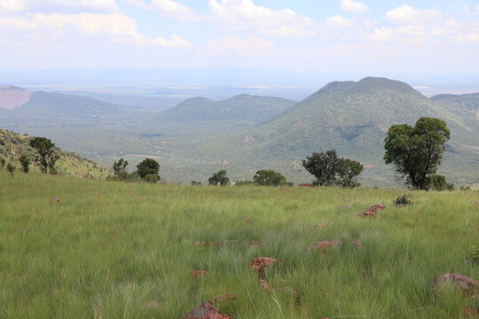 Green savanna hills and grassland landscape near Grootfontein Private Nature Reserve, South Africa.