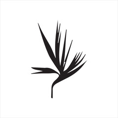  Birds of Paradise Silhouette Vector Image