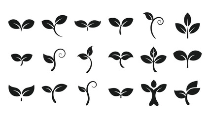 Fototapeta premium Elegant black and white botanical leaf and vine decorative pattern collection