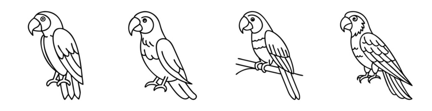 Four outlined parrots, including one on a branch, perched and standing