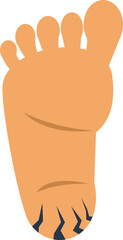 Obraz premium Vector illustration of a human foot with cracked dry heel highlighting skin damage problems