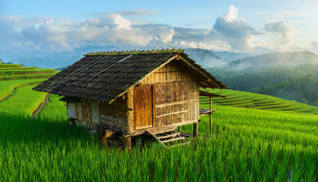 A rustic old wooden cabin sits nestled in a lush green mountain landscape under a summer sky, surrounded by traditional rural architecture and a forest field in the quiet countryside