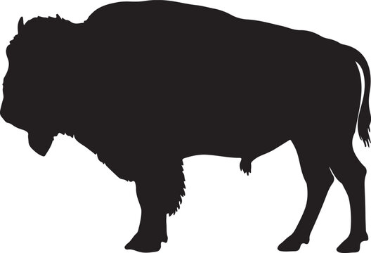 American Bison in silhouette on white background.