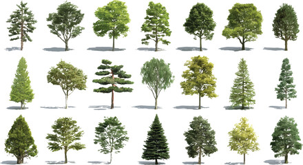 Collection of diverse deciduous and coniferous trees with green foliage and brown trunks isolated on white background © Pixel Park