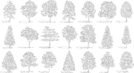 Collection of diverse deciduous and coniferous trees with detailed foliage and shadows in black and white outline style © Pixel Park