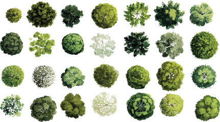 Collection of diverse green trees viewed from above in a down perspective foliage leaves © Pixel Park