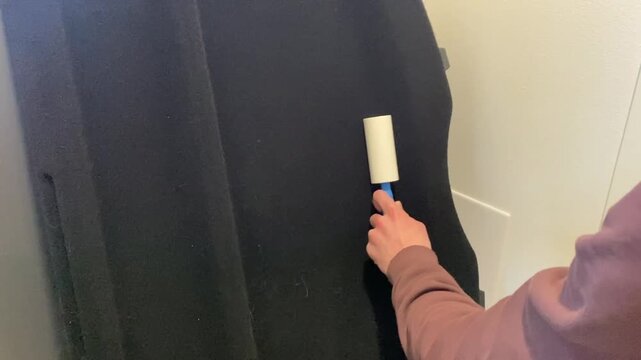 Removing dust and pet hair from carpet with lint roller at home