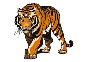 tiger vector illustration