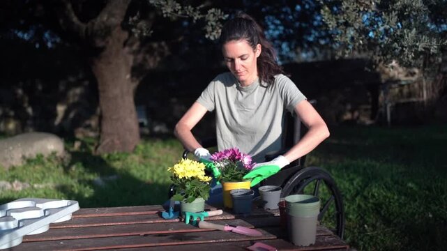 Disabled woman in wheelchair enjoying gardening hobby