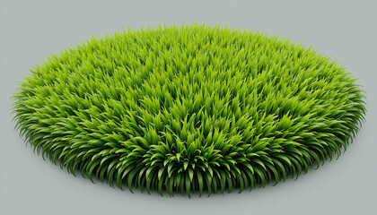Lush green grass circle perfect for eco friendly designs