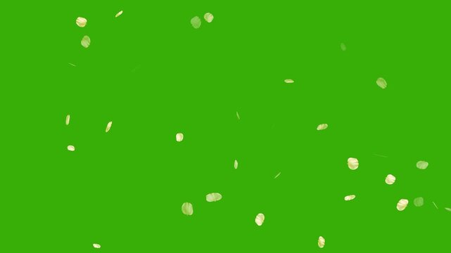 Soft floral cherry blossom spray animation on green screen background. Romantic spring- Cherry blossoms gently falling down. Rose petals fall like rain. Cherry blossom petals falling loop animation.