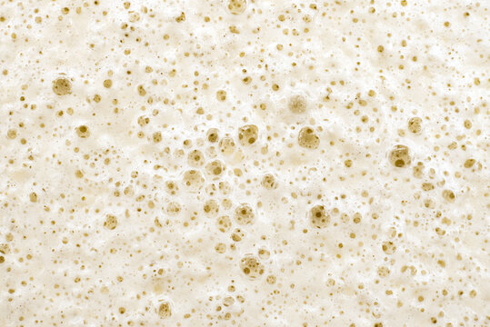 Texture of fermented dough or sourdough with bubbles. Bakery. Dough