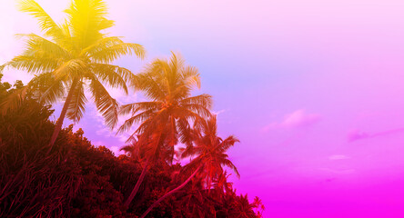 Summer with colorful theme as palm trees background as texture frame background